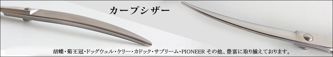 /top_content/0101003curve1100190.jpg