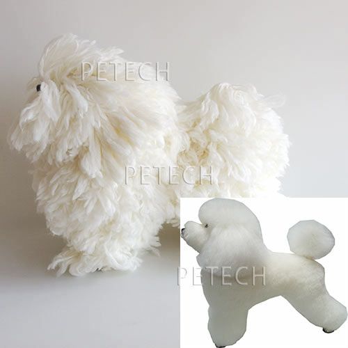 グルーミングレッスンドッグ パピー107ST (ホワイト) | petech